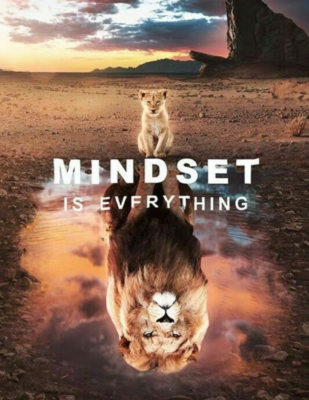 mindset 